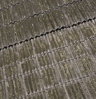 Photo shows a corrugated cement roof
