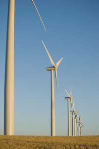 Photo shows a row of wind turbines