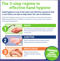 image links to an effective hand hygiene guide